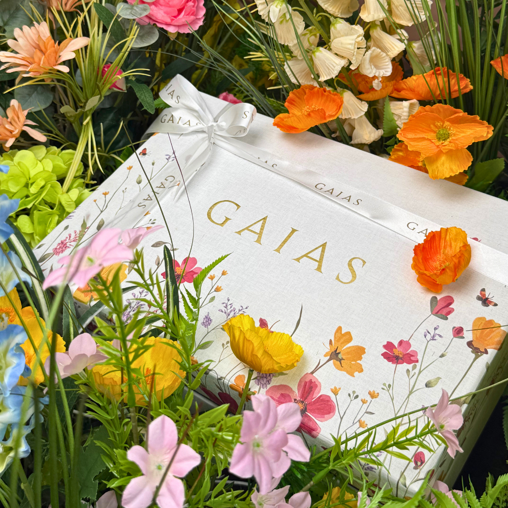 🎁 Gift Box 2025 Limited Edition (100% off)