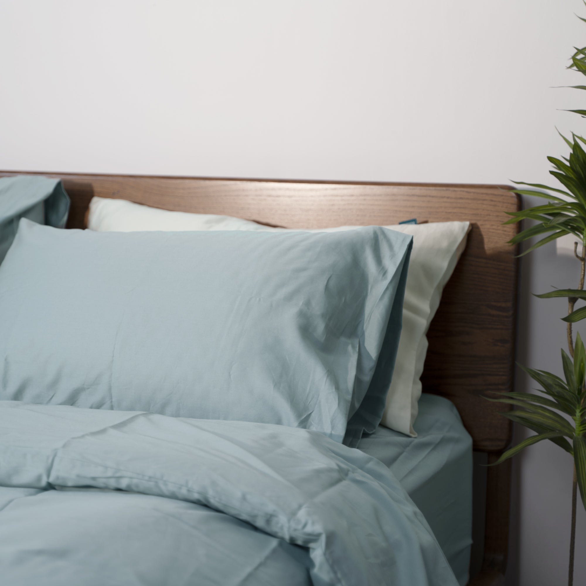 Riffar  NatureSoft™ 100% Cotton - Fitted Sheet