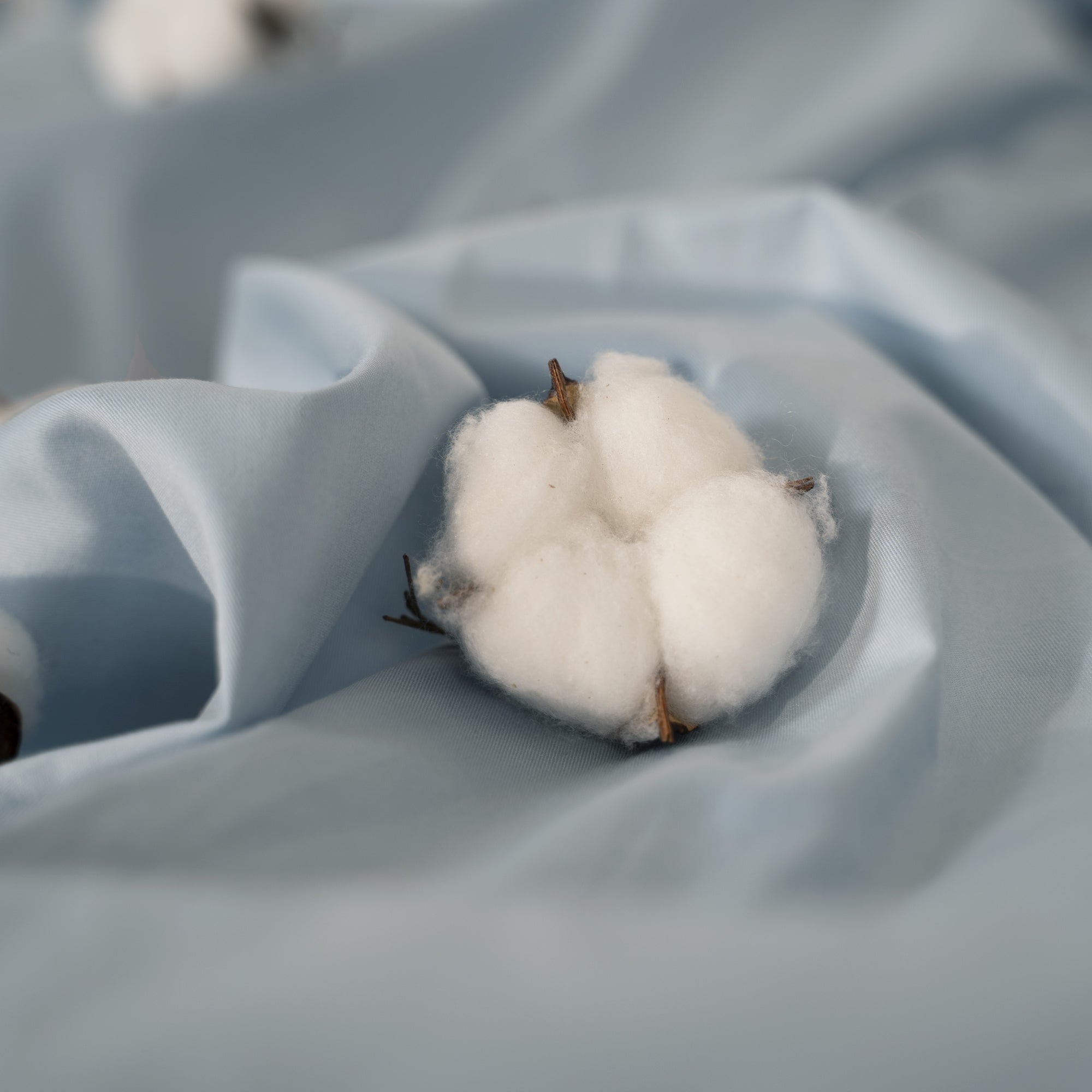 Riffar NatureSoft™ 100% Cotton Sheet Set